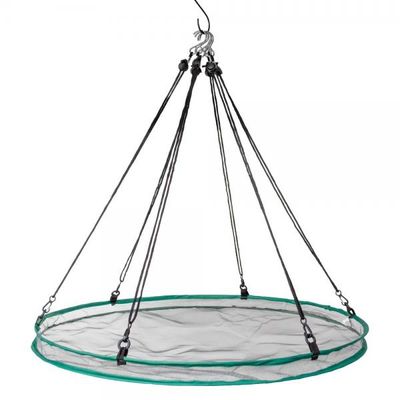 BF Seed Hoop 30"
