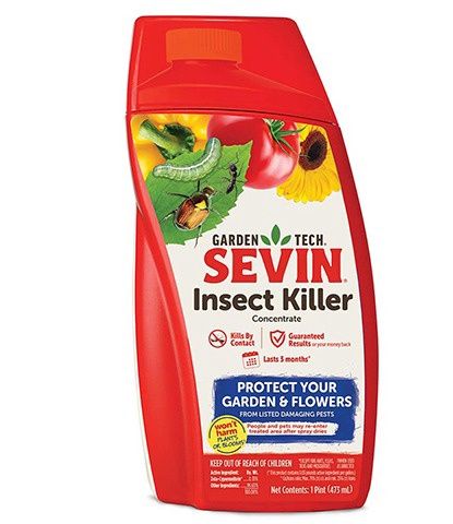 Sevin Bug Kill Qt Conc