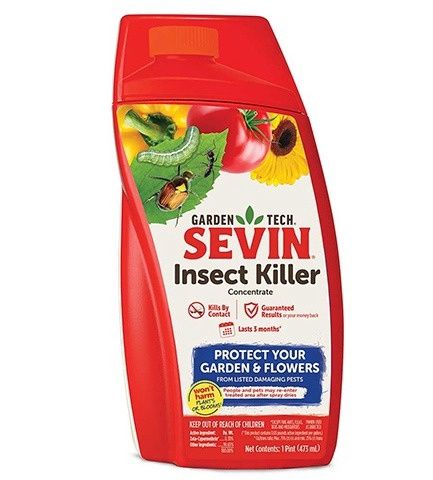 Sevin Bug Kill Pt Conc
