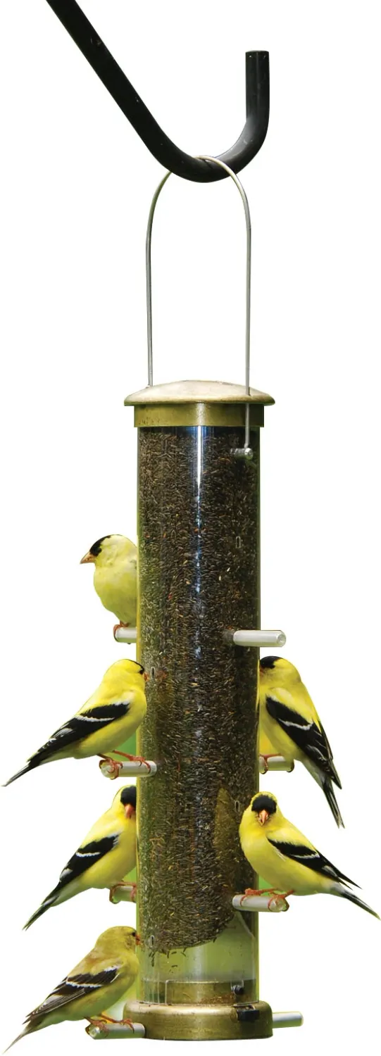 BF Quick Clean Finch Seed 14"