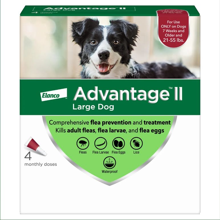 Advantage Flea Dog 21-55lb