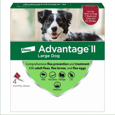 Advantage Flea Dog 21-55lb