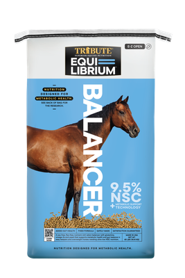 Equilibrium Balancer 40lb