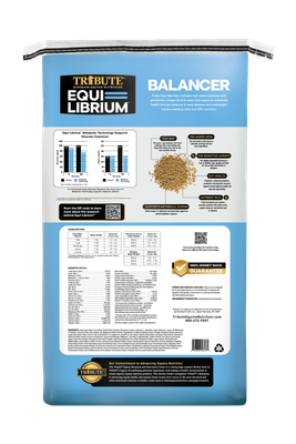 Equilibrium Balancer 40lb