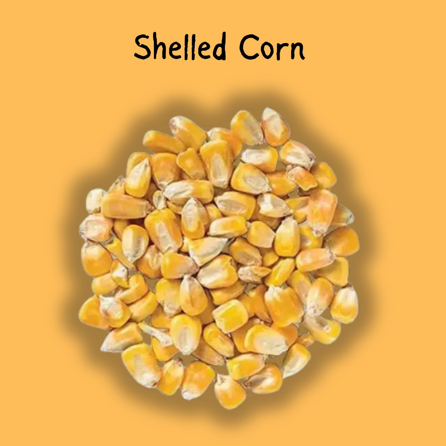 Shelled Corn 25lb