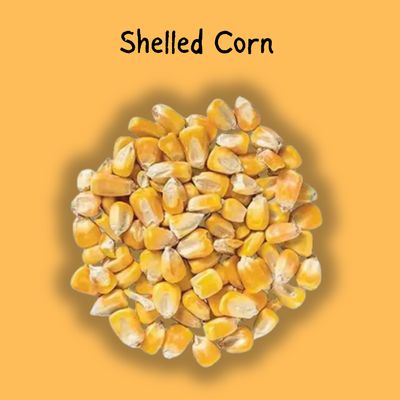 Shelled Corn 25lb