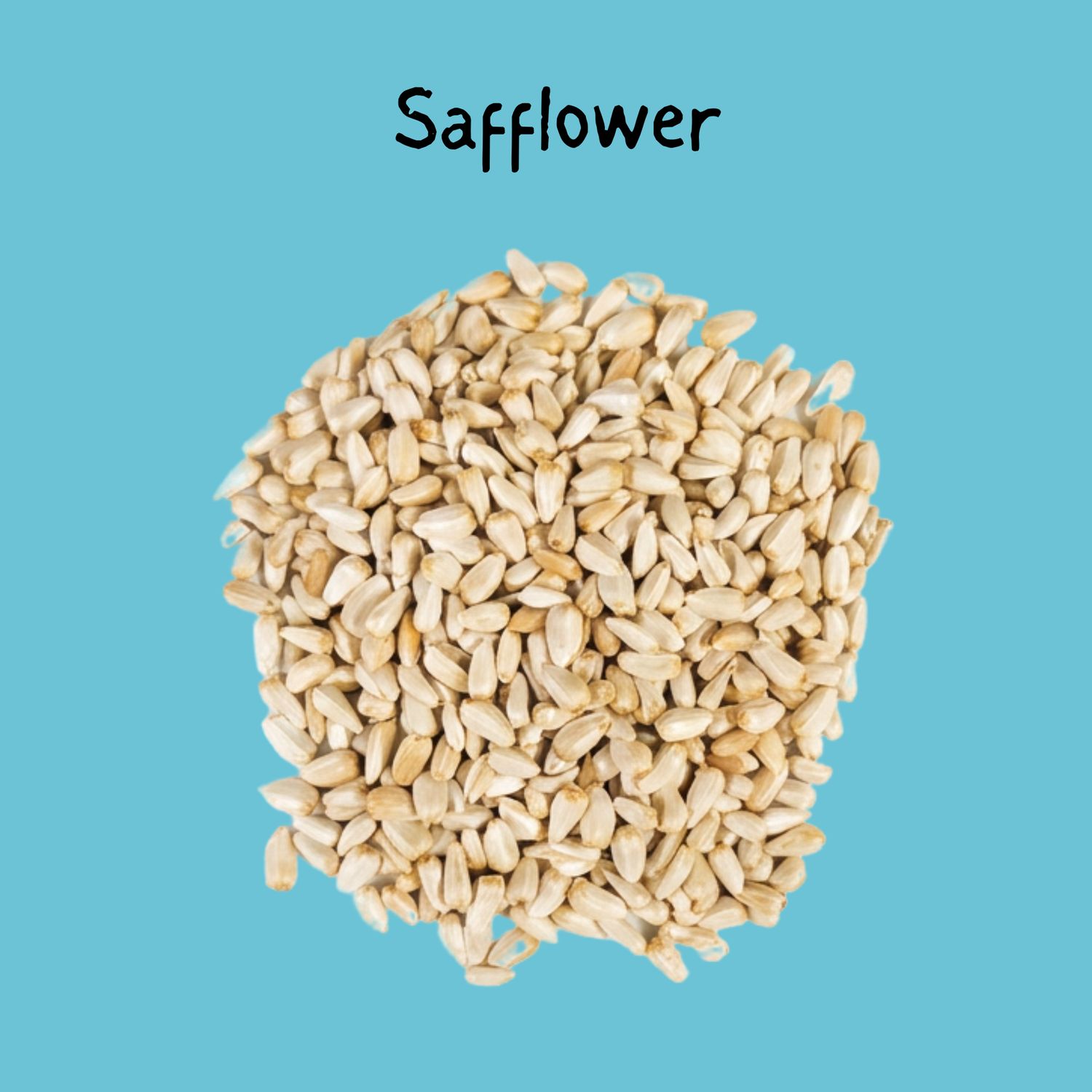 Safflower Seed 10lb