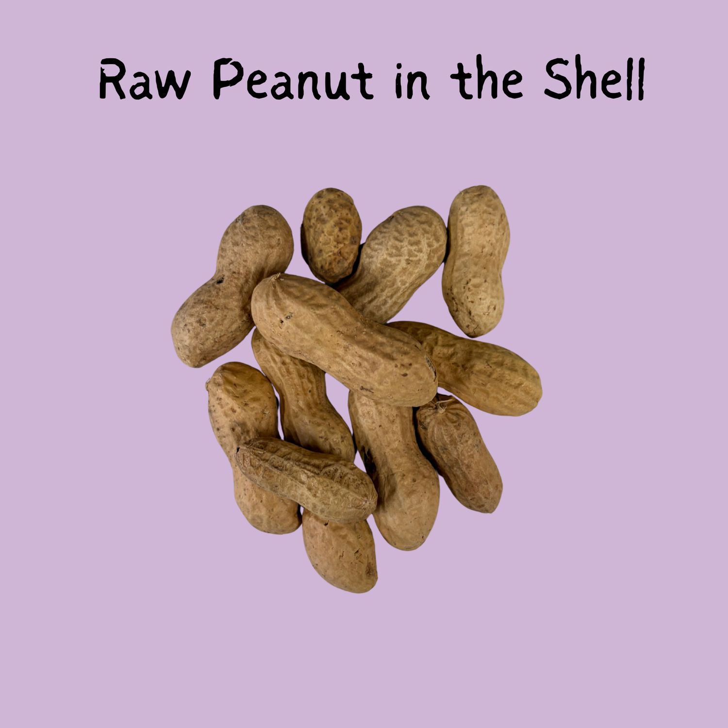 Peanuts Raw in shell 2lb