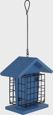 BF EcoCycle Suet Dbl Snacker