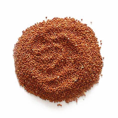 Millet Red 25lb