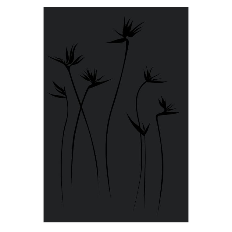 Paradisio