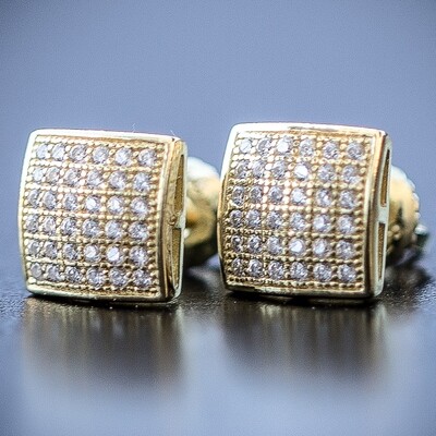Small 14k Gold Plated Screw Back Earrings