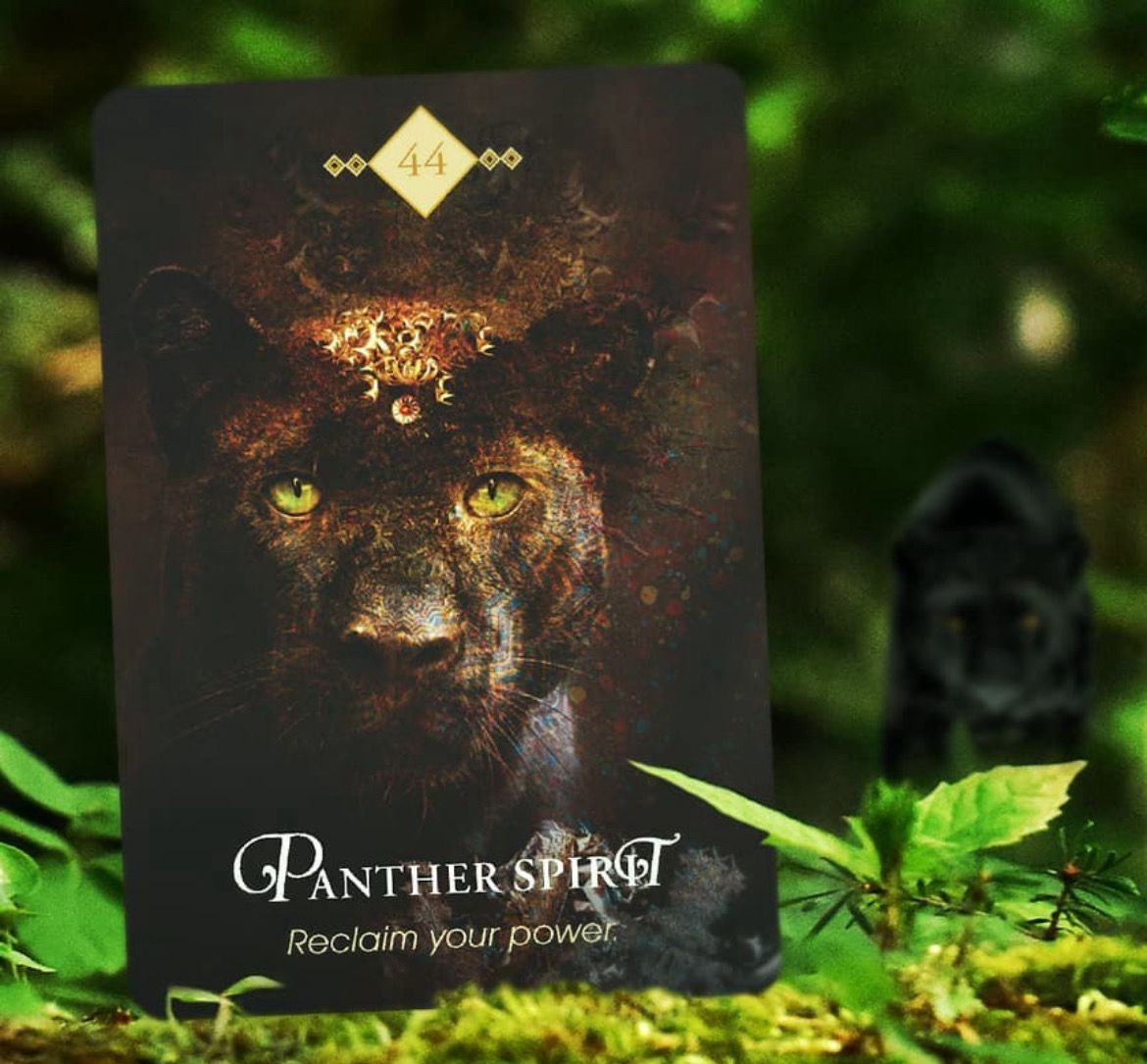 Animal Spirit Guide Guidance [Video Recorded]