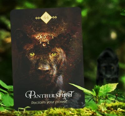 Animal Spirit Guide Guidance [Video Recorded]