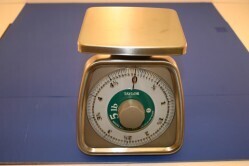 Taylor Mechanical Portion Control Scale