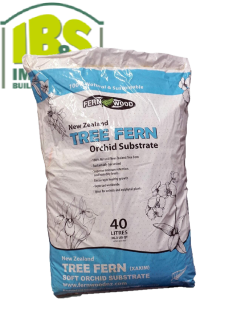 New Zealand Tree Fern