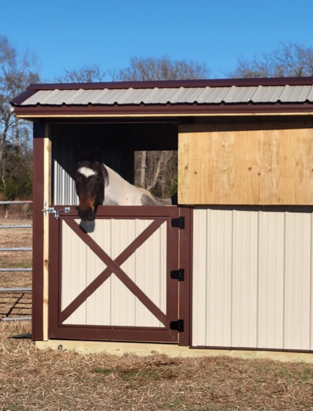 Dutch Door