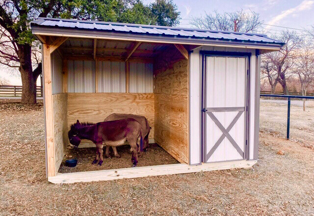 8x12 LOAFING SHED