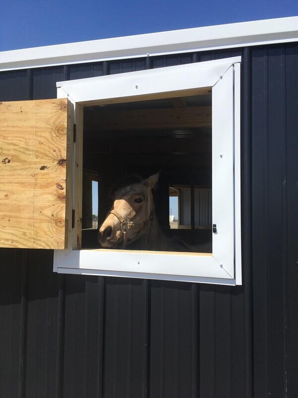 2x2 Crossbuck Windows