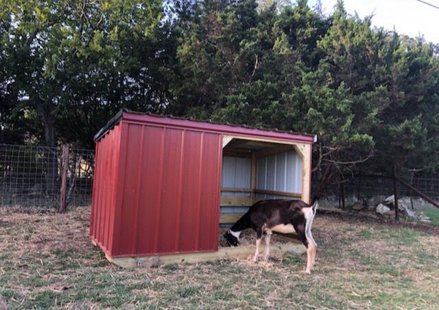 6x8x5 GOAT SHED. Half Enclosed