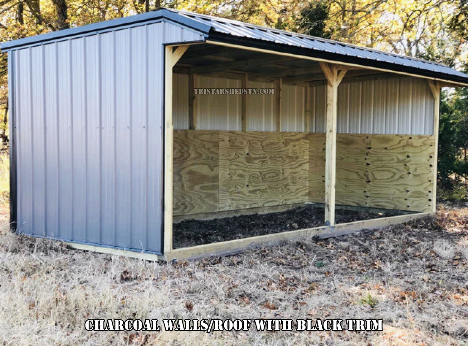 8x20 RUN IN SHED