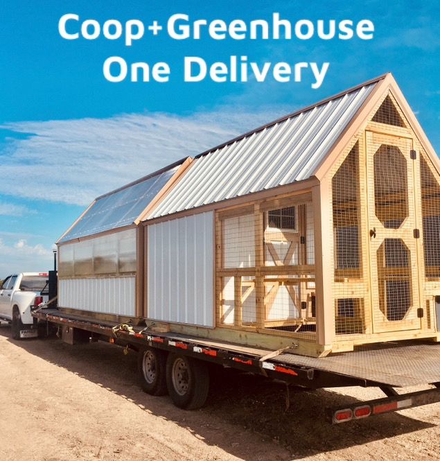 DELUXE DUO Greenhouse &amp; Day Ranger Coop