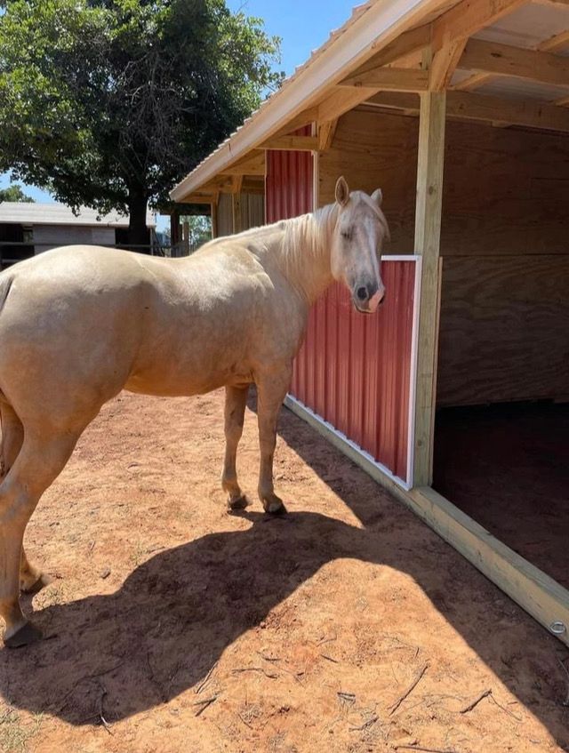 10x24 TWO STALL MINI BARN. CENTER FEED ROOM