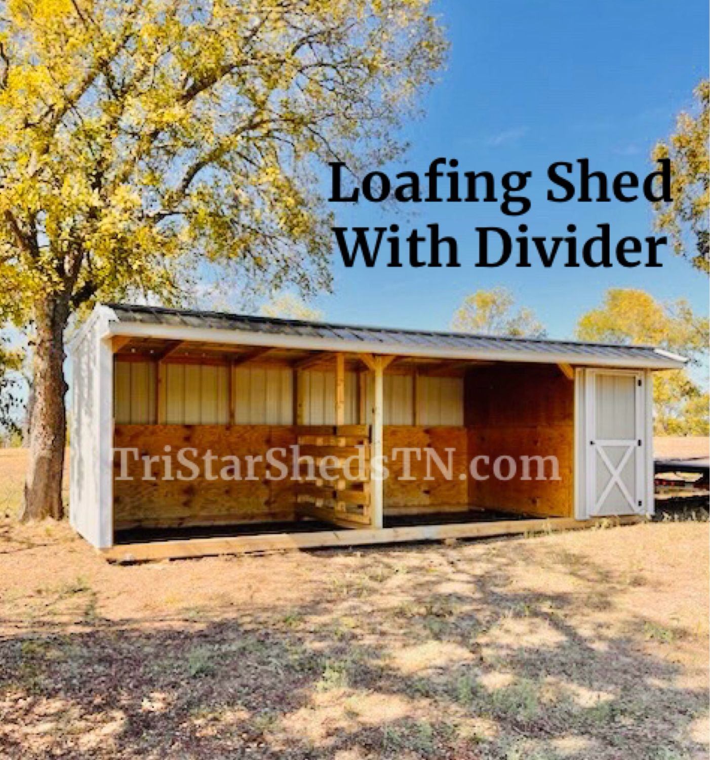 10x27 LOAFING SHED With Divider Option