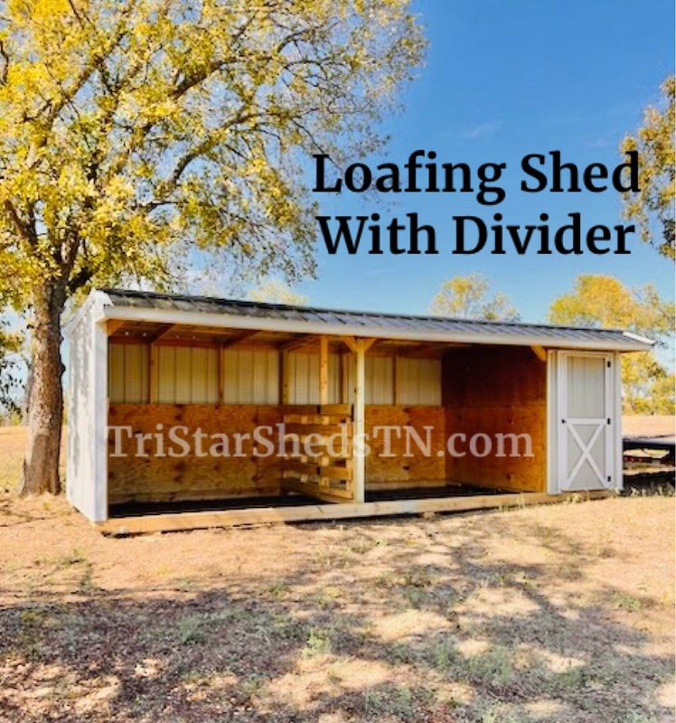10x27 LOAFING SHED With Divider Option