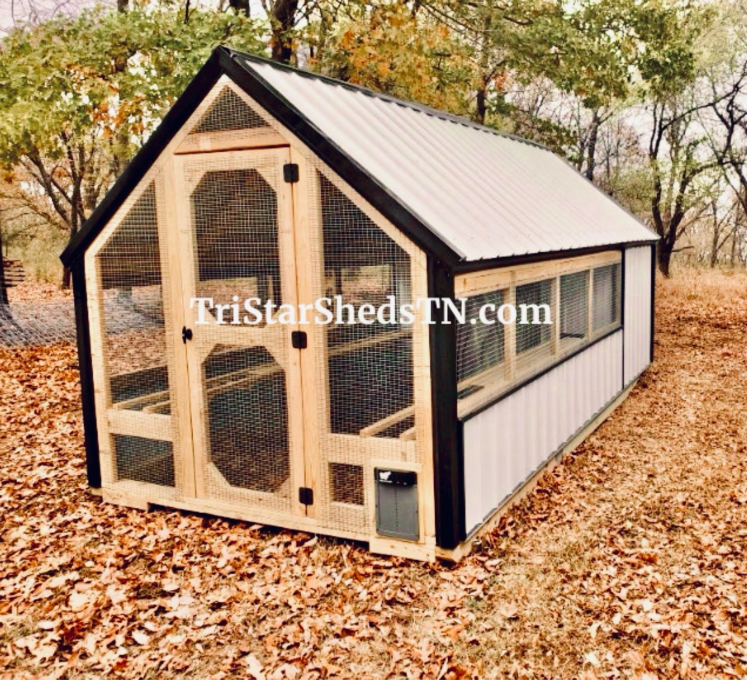 8x24 Deluxe Day Ranger Coop. Interior Egg Collecting Wall &amp; Storage Area