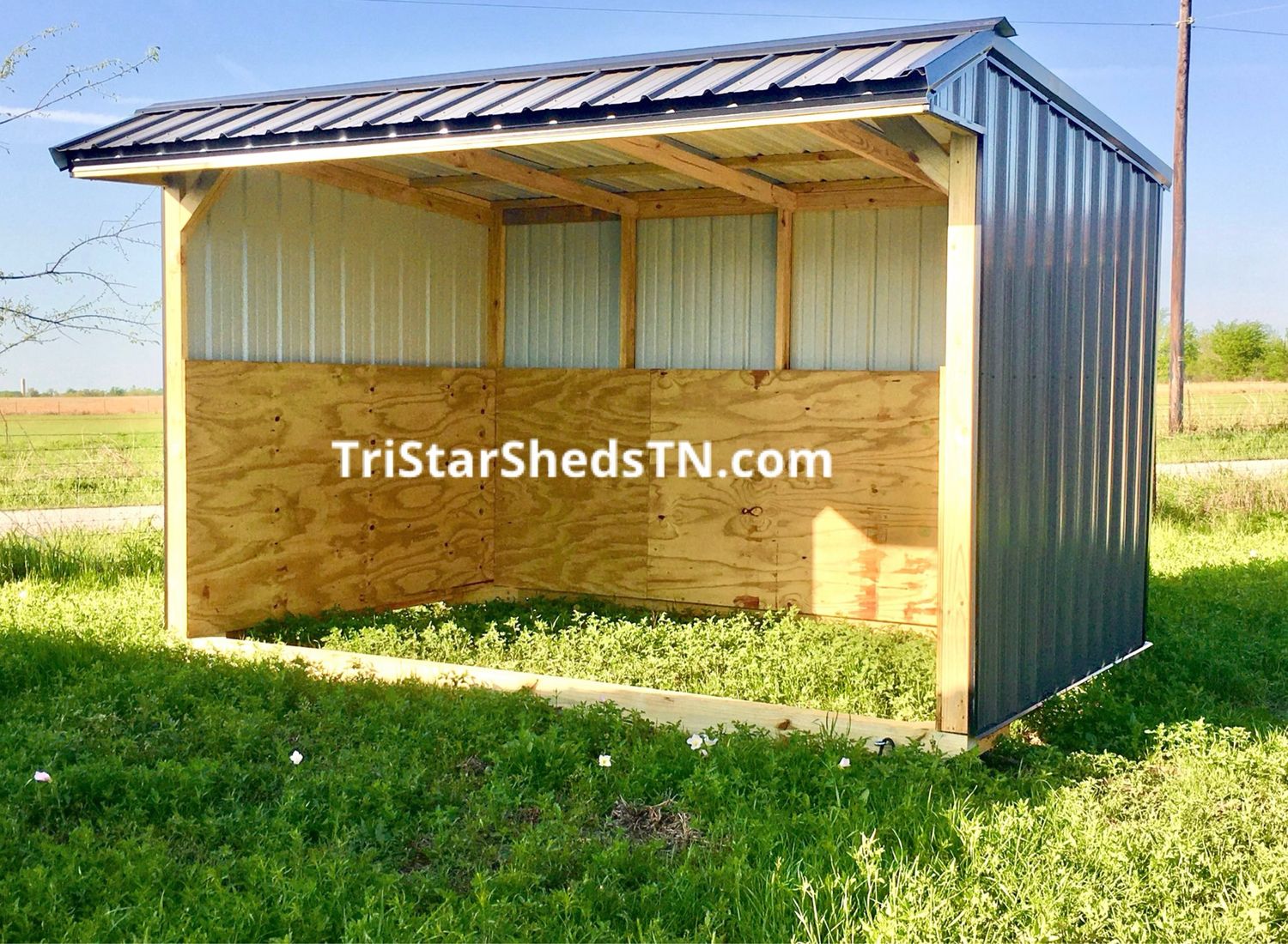 8x12 RUN IN SHED (Plywood Kickboards)