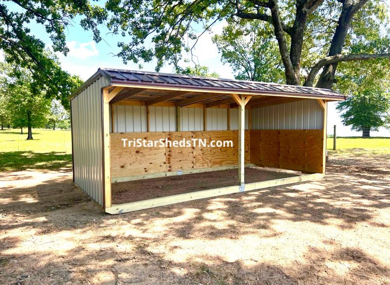 10x20 RUN IN SHED