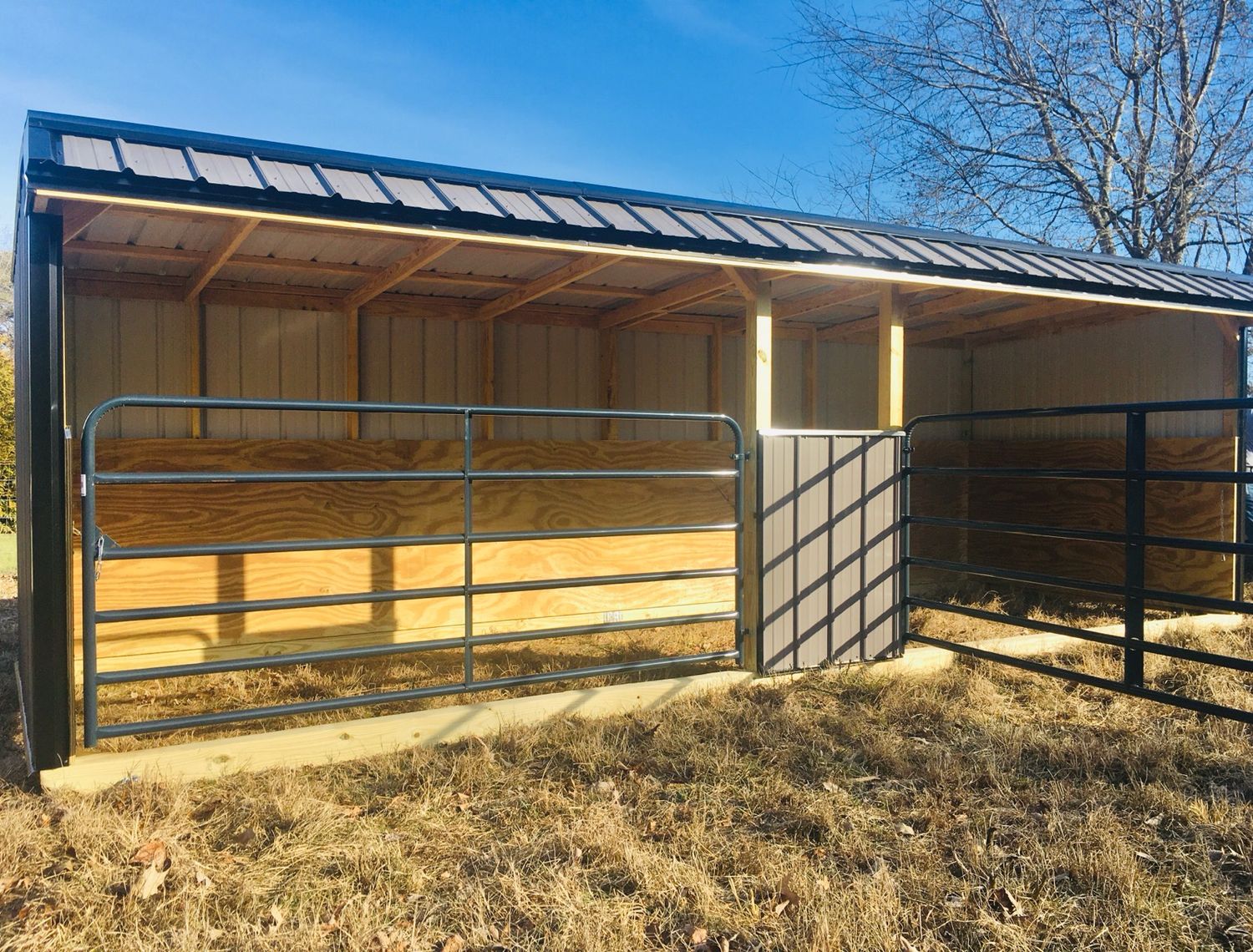 8x24 RUN IN SHED WITH TUBE GATES
