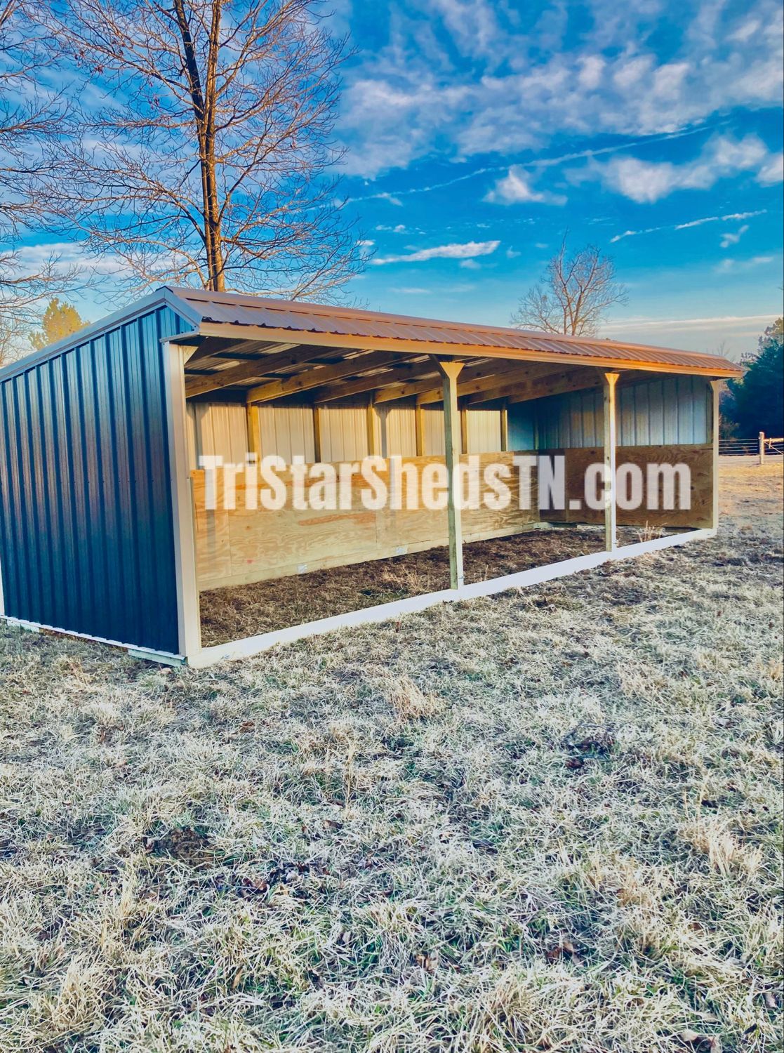 10x30x8 RUN IN SHED