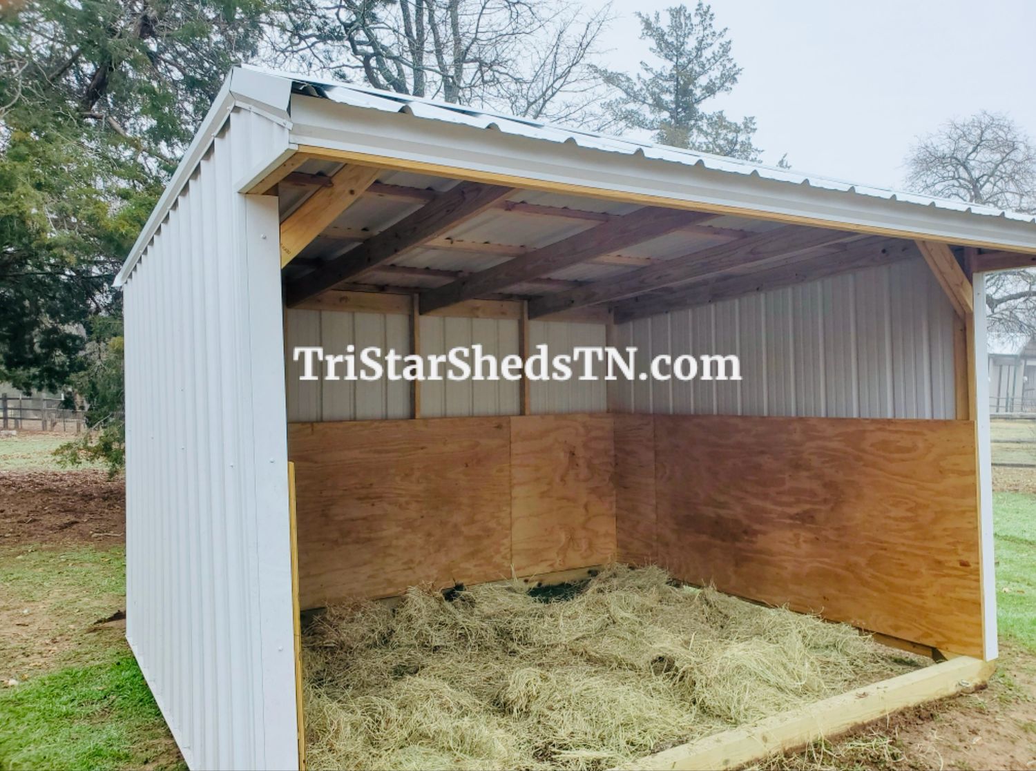RUN IN SHED