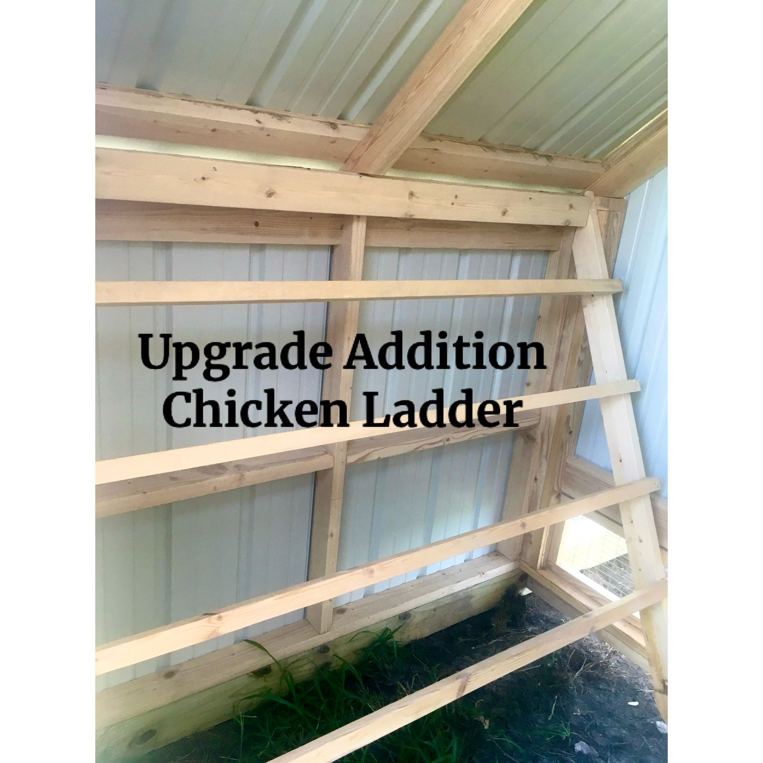 Chicken Ladder