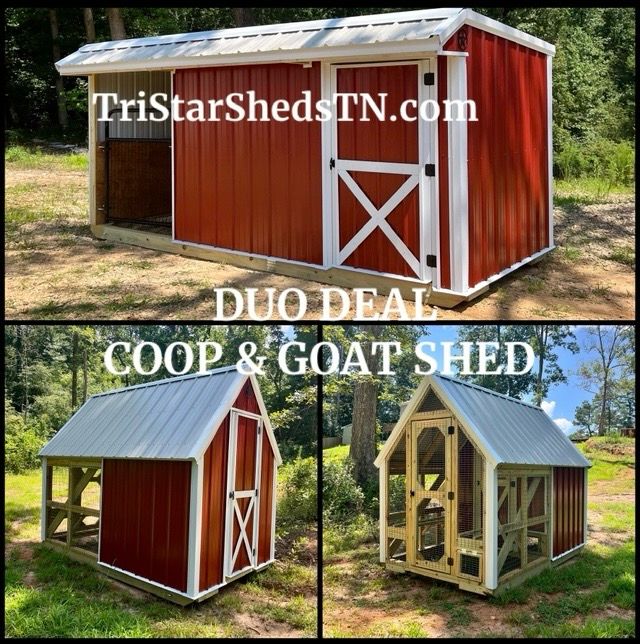 DUO Tiny Barn &amp; Day Ranger Coop