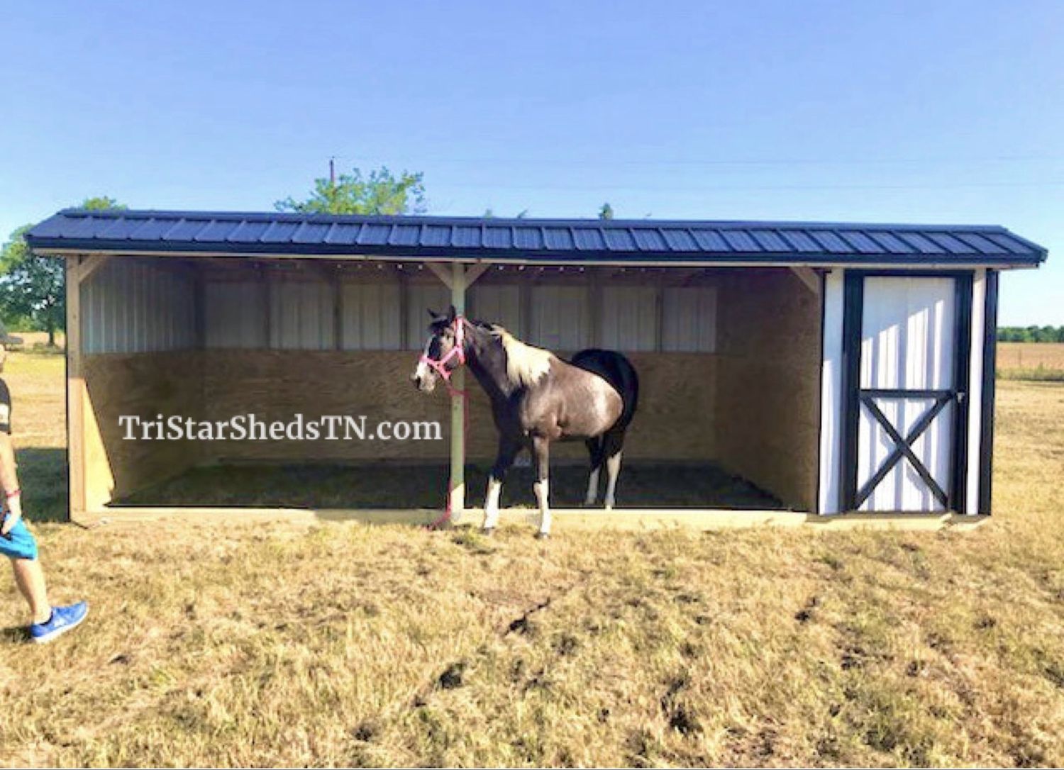 8x24 Loafing Shed With Tack Room