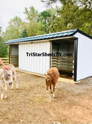 Split Entry Livestock Sheds