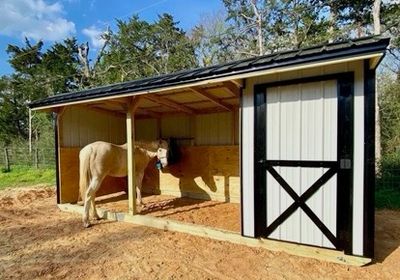 Loafing Sheds With Tackroom