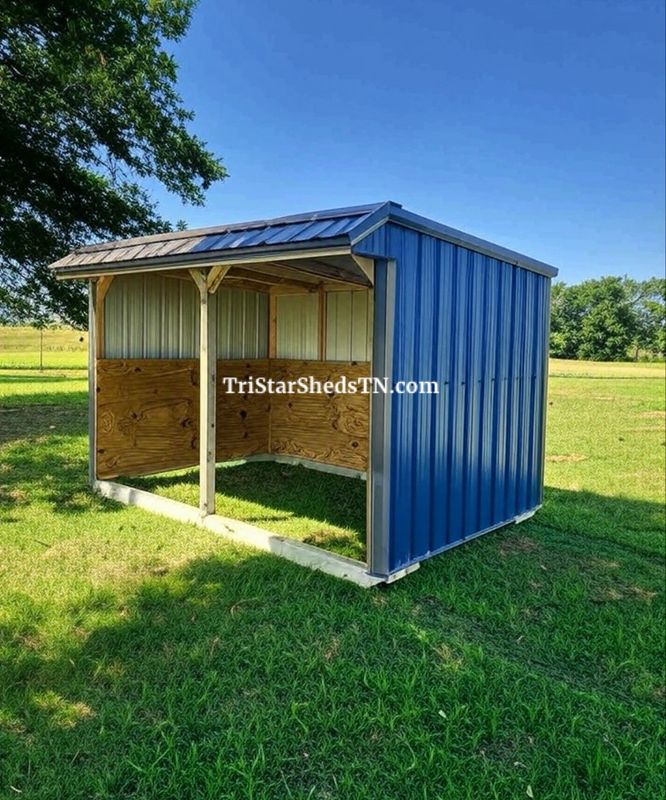 8x12 RUN IN SHED (Plywood Kickboards)