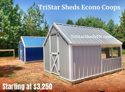 8x12 ECONO Day Ranger Coop
