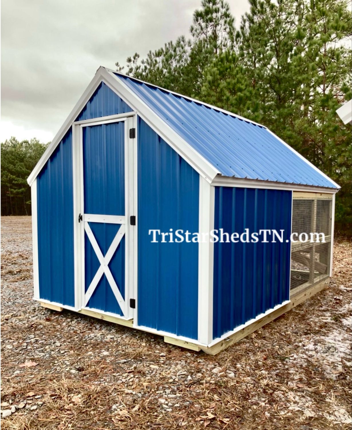 8x12 ECONO Day Ranger Coop