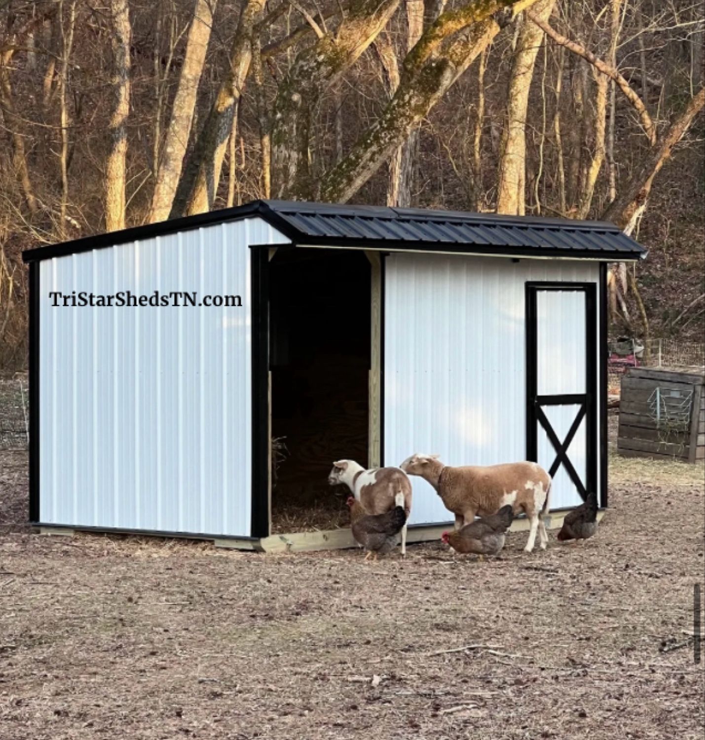 8x15 TINY BARN