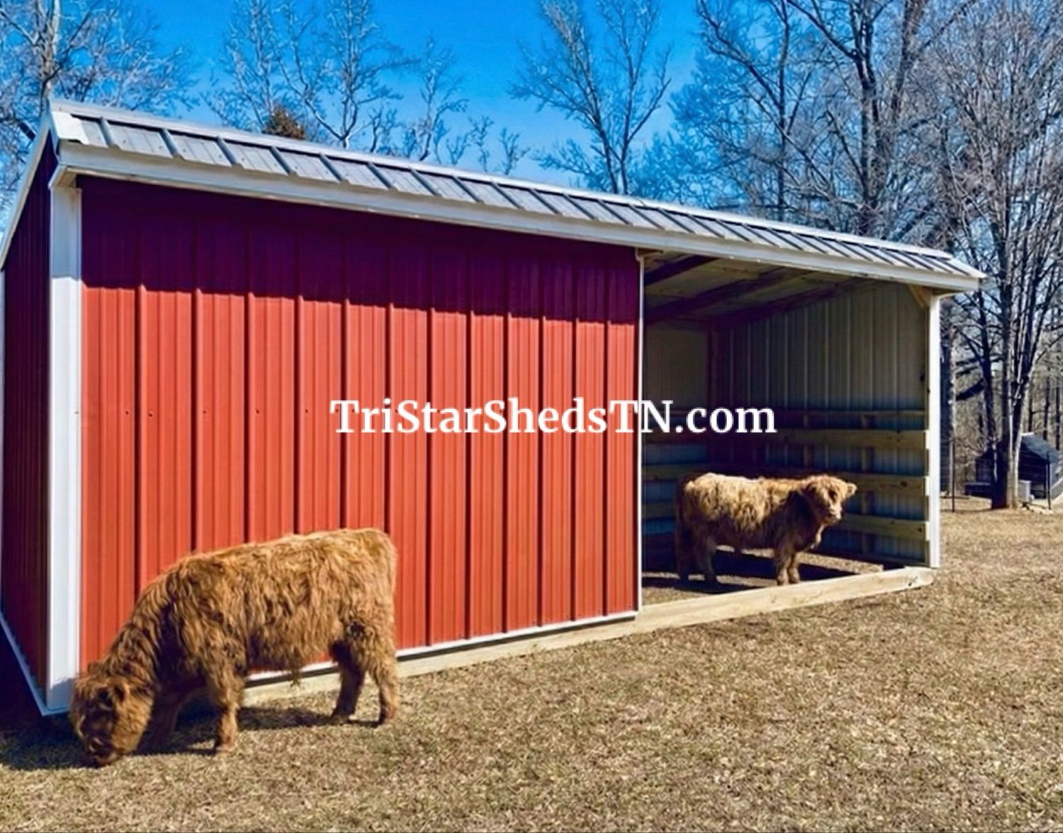 8x20 RUN IN SHED. Half Enclosed