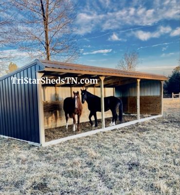 10x30 RUN IN SHED