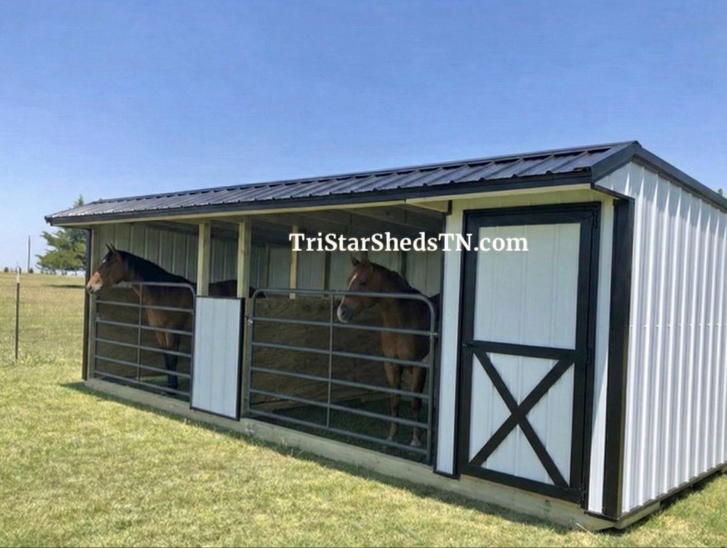 10x24 TWO STALL HORSE SHED