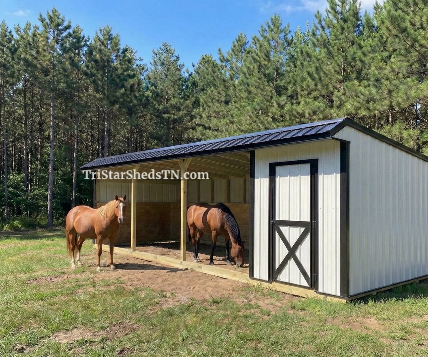 10x30 LOAFING SHED