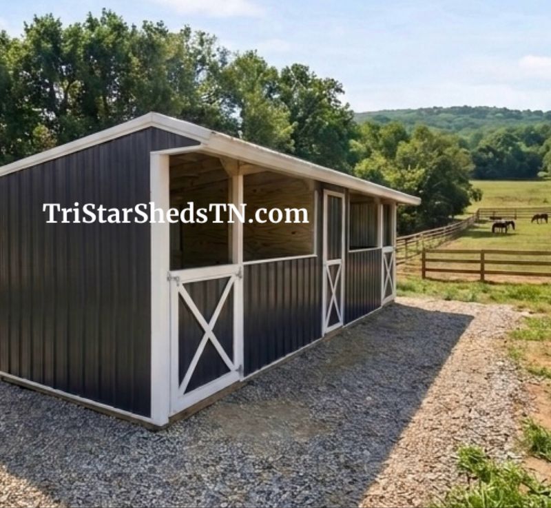 10x30 TWO STALL BARN. Center Feed Room