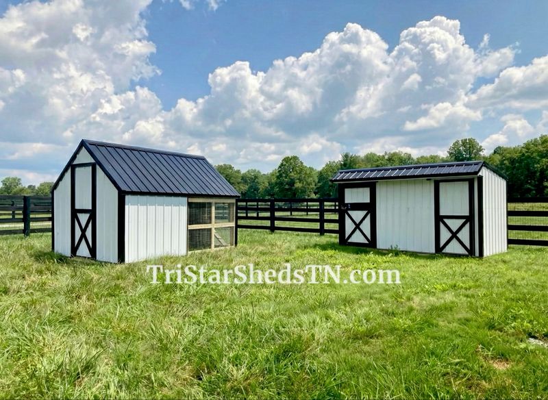 DELUXE DUO Tiny Barn &amp; Day Ranger Coop